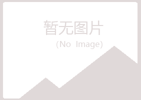 安阳北关山柳美容有限公司